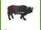 ANIMAL P. Bawół afrykański