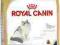 ROYAL CANIN RAGDOLL - 2kg.