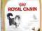 ROYAL CANIN NORVEGIEN FOREST CAT- 2kg.