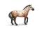 SCHLEICH - KOŃ KNABSTRUP OGIER - 13689