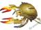 ~ PUZZLE KOLOROWE 3D ~ KRAB ~