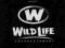 Various - D.I.T.C Presents Wild Life 12''