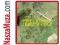 Hergest Ridge Oldfield Mike 1 Cd