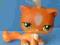 Littlest Pet Shop figurka LPS KOT KOTEK z kitką