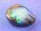 OPAL AUSTRALIJSKI -13E -13,5mm;5,5ct- SUPER CENY!