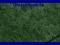 BLAT KUCHENNY 3050X600 MARMUR ZIELONY GRASS-HOPPER
