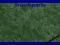 BLAT KUCHENNY 3050X600 MARMUR ZIELONY GRASS-HOPPER