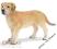 RECZNIE MALOWANA PIES LABRADOR SCHLEICH SHL 16390