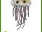 GIANTMICROBES E. Coli