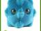 GIANTMICROBES Katar
