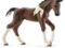 SCHLEICH Kuc Trakenher   nr  13758 nowe