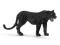 SCHLEICH Czarna pantera new 2013