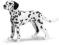SCHLEICH DALMATYŃCZYK STOJACY SCHLEICH DALMATYŃCZYK STOJACY