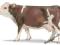 SCHLEICH KROWA RASY SIMMENTAL new 2009 DHL