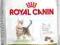 ROYAL CANIN OUTDOOR - 0,4kg.