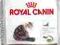 ROYAL CANIN AGEING +12 - 0,4kg.