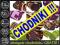 CHODNIK 120cm CHODNIKI WYCINANE OBSZYCIE GRATIS