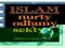 Islam nurty odłamy sekty