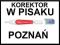 POZNAŃ KOREKTOR w pisaku METAL toma 10 ML W PŁYNIE