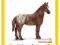 SCHLEICH KLACZ RASY APPALOOSA