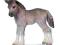 Źrebię kuca Fell new 2013 SCHLEICH [PROMOCJA] Po