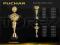 PUCHAR PUCHARY 33 cm TROFEA GRAWER GRATIS 7105BP