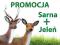 !! PROMOCJA !! JELEŃ + SARNA (stojące na skale) !!