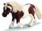 KUCYK RASY SHETLAND SCHLEICH [PROMOCJA] Poznan ter