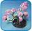 Bonsai Magiczne drzewko - piękna ozdoba