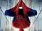 The Amazing Spider - Man 2  - ( PC DVD ) - ANG