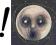 STEVEN WILSON - THE RAVEN... 2xLP - PORCUPINE TREE