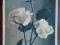 KWIATY PRZEDWOJENNA [03317]