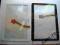 SAMSUNG TAB2 10 P5100 DOTYK DIGITIZER SZYBKA KLEJ