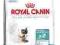 Karma dla kota Royal Canin Hairball 34 10 kg