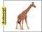 dvdmaxpl SCHLEICH ŻYRAFA 14320 (ZABAWKA)