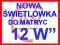 NOWA ŚWIETLÓWKA 12