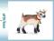 Emaluj -- SCHLEICH Młoda koza domowa new 2013