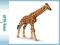 Emaluj -- SCHLEICH MŁODA ŻYRAFA [NOWE][WAWA]