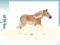Emaluj -- SCHLEICH Klacz rasy Haflinger new 2013