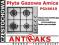 Płyta gazowa Amica PGX6610 Antraks Czę-wa