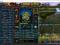 Konto na Shakes &amp; Fidget  mag lvl165