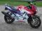 Honda CBR 600 F3 1999r EXTRA FOTKI (F2 F4 R6 CB)