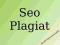 Seo Plagiat - program do wykrywania plagiatu