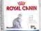 ROYAL CANIN INDOOR 27 , 2kg + 6 saszetek GRATIS+..