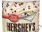 Krem Polewa Hersheys Betty Crocker 453g USA