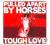 (CD) PULLED APART BY HORSES - tough love | NOWA
