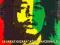 (DVD) BOB MARLEY - Kevin Macdonald | NOWA