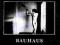 BAUHAUS - IN THE FLAT FIELD CD