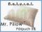 Poduszka AMZ Natural Mr Pillow Półpuch 5% 50x70 cm