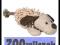 ZABAWKA PLUSZOWA DLA PSA PIESEK Z DZWIĘKIEM 30CM